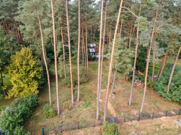 Bauträgerfrei und provisionsfrei: 1.390 m² Grundstück mit Bauvoranfrage, Baugrundstück, 14822 Borkwalde, Wohngrundstück
