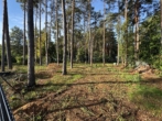Bauträgerfrei und provisionsfrei: 1.390 m² Grundstück mit Bauvoranfrage, Baugrundstück - Grundstück