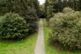 Provisionsfreie Schweden-Idylle: Viel Platz in der Nordheide für 2 Generationen, Gäste & Homeoffice - Gepflasterte Auffahrt durch den alten Baumbestand