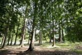 Provisionsfreie Schweden-Idylle: Viel Platz in der Nordheide für 2 Generationen, Gäste & Homeoffice - Eigener Wald – Teil des rund 37.000 m² großen Grundstücks